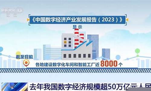 我國數(shù)字化知識資源占比是多少？