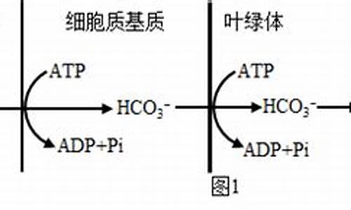 動(dòng)植物難道不是天生的天氣預(yù)報(bào)員嗎？
