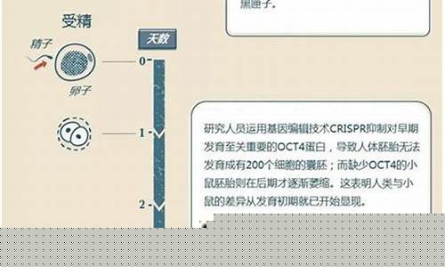 人類胚胎體外培養(yǎng)至88天為何心臟會(huì)停止跳動(dòng)？
