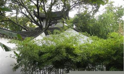 為何不能成為自然的盟友？
