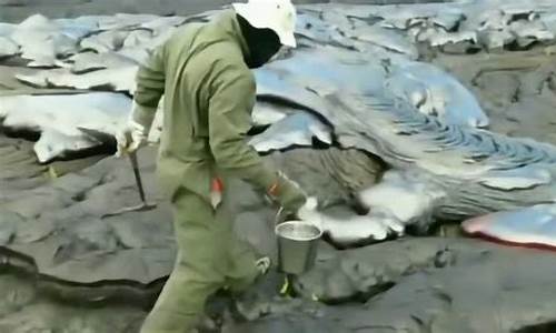 泥火山（1）難道就是大地沸騰的奧秘？