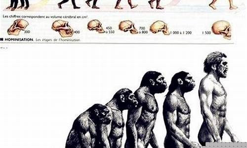 猴真的就是人類的祖先嗎？