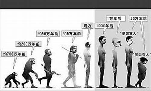 未來手機(jī)是否會(huì)進(jìn)化成百寶囊？