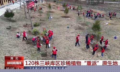 三峽庫區(qū)珍稀植物是否會因蓄水而面臨滅絕風險？