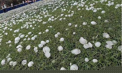 為什么會有冰雹現(xiàn)象？