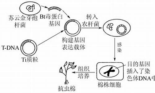 科學家是如何通過基因操控讓動物成為工作狂的？