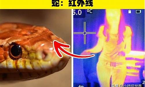 人類相對于動物有哪些顯著的不同之處？