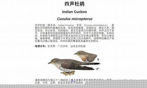 全球有多少鳥類正面臨滅絕的危險(xiǎn)？國(guó)際鳥類保護(hù)組織報(bào)告揭示驚人比例