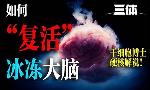 大腦干細胞是否享有獨特的免疫豁免？