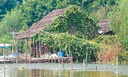 我國首個濕地森林公園有望在南沙建立，具體進(jìn)展如何？