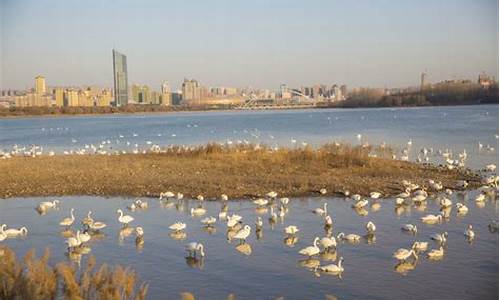 如何在三門(mén)峽濕地實(shí)現(xiàn)人與自然的新平衡？