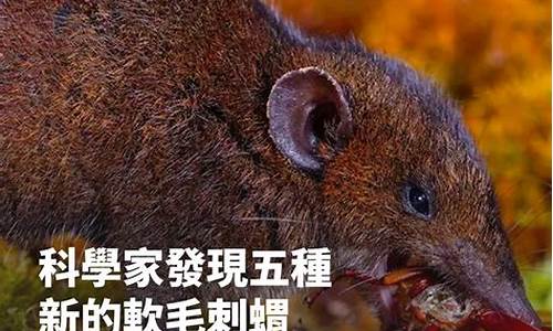 科學(xué)家稱，東南亞物種多樣性為何因?yàn)E伐森林而受損？