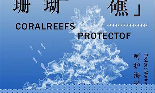 如何深入理解海洋生態(tài)系統(tǒng)的結(jié)構(gòu)與功能？