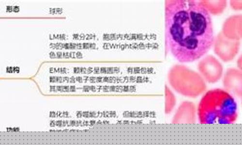 為什么極地魚類血液不凝固