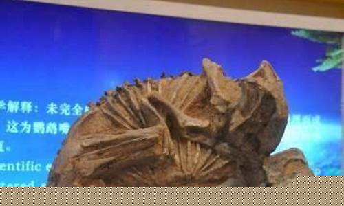 恐龍化石歷經(jīng)億萬年，其藝術價值究竟如何高？