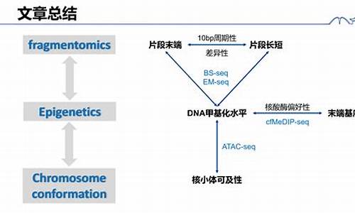 誰是DNA電腦和生物電腦的創(chuàng)始人?
