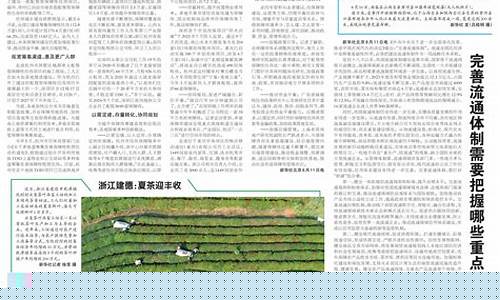 海山奧秘，你探索了嗎？