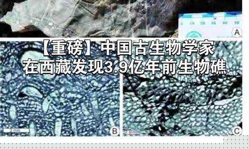 西藏阿里1.3億年前曾是綠洲的嗎？