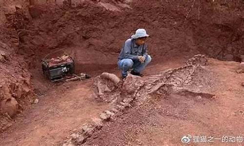 一億年前拉薩地區(qū)真的是陸地而非海洋嗎？