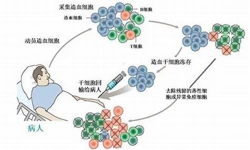 骨髓移植如何實(shí)現(xiàn)供體與受體不再相斥？協(xié)和教授破解世界級(jí)醫(yī)學(xué)難題