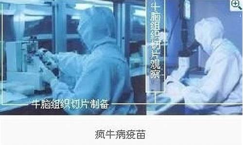 瘋牛病疫苗研究有何新突破？