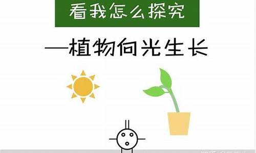 如何探究植物與其生長環(huán)境之間的相互作用？