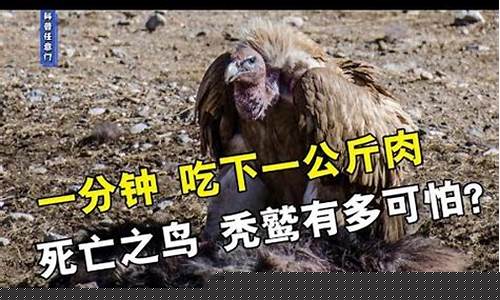 禿鷲體內(nèi)究竟有何神奇微生物？