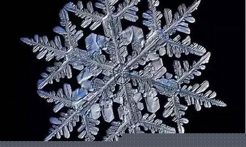 深海中的雪花是什么樣的?