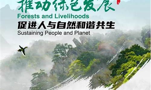 林業(yè)如何在促進(jìn)人與自然和諧相處中承擔(dān)社會(huì)發(fā)展重任？