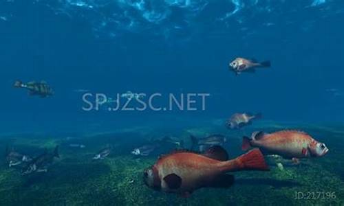 遠(yuǎn)古海底世界模板四，這是怎樣的景象？