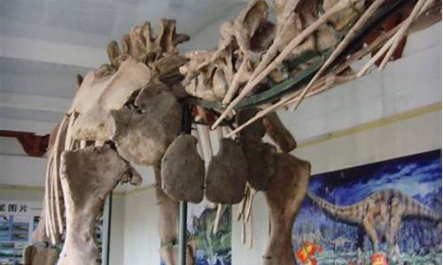 馬門溪恐龍化石：其頸部為何不能像長頸鹿那樣伸展？
