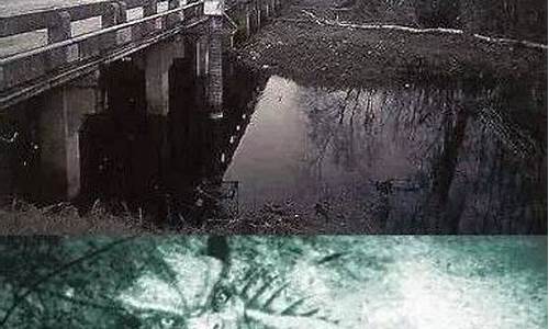 美國傳說中的蜥蜴人究竟屬于哪類生物？