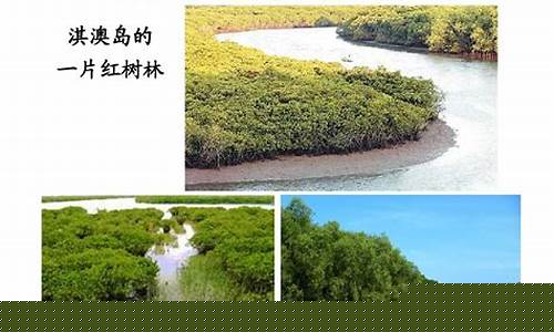 如何概述生態(tài)區(qū)域及其保護(hù)策略的基本概念？