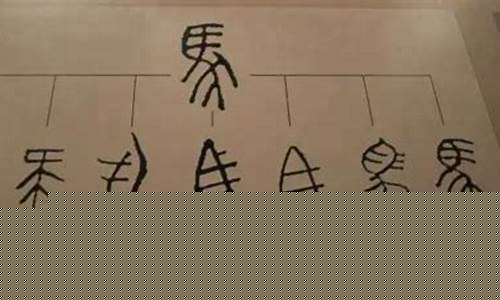 秦始皇統(tǒng)一文字對(duì)文化融合的促進(jìn)