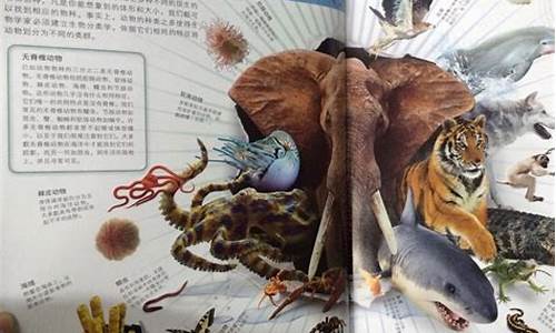 2004年動物世界大搜索：人類如何體驗恐慌、驚嘆與感動？