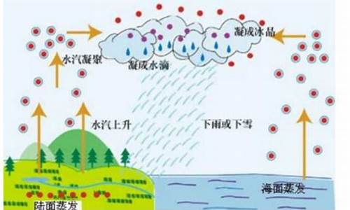 如何解釋雨的形成過程？