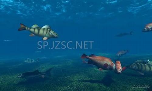 遠(yuǎn)古海底世界模板究竟是什么？