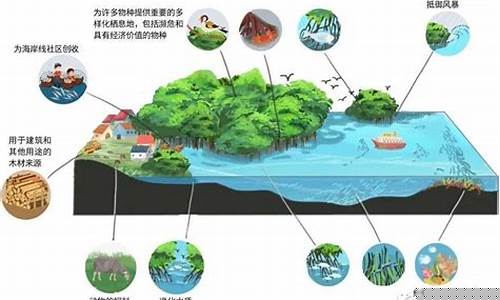 如何概述生態(tài)區(qū)域及其保護(hù)策略的基本概念？
