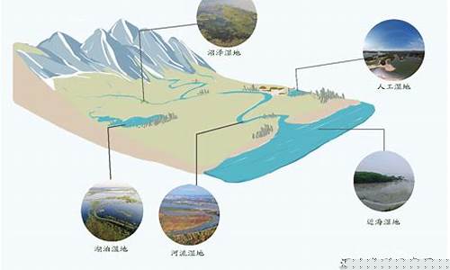 濕地具體指的是什么環(huán)境？