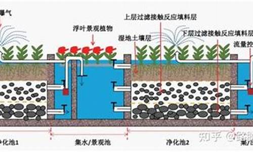如何在三門峽濕地實(shí)現(xiàn)人與自然的新平衡？
