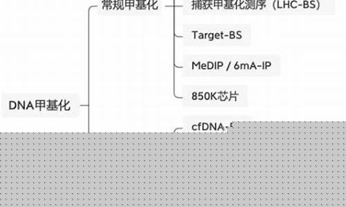 科學(xué)家如何將DNA密碼轉(zhuǎn)換成音樂CD？
