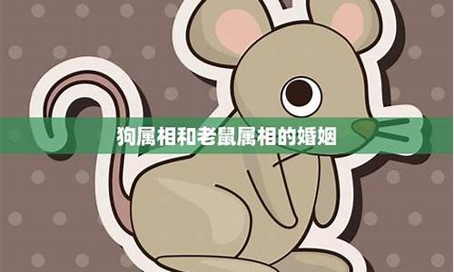 老鼠能否識別不同的人類語言？