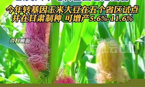 基因食品真的安全嗎?揭秘五大潛在隱患