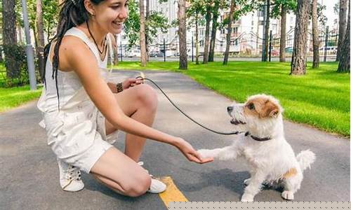 法律在社會寵物飼養(yǎng)方面的相關(guān)規(guī)定