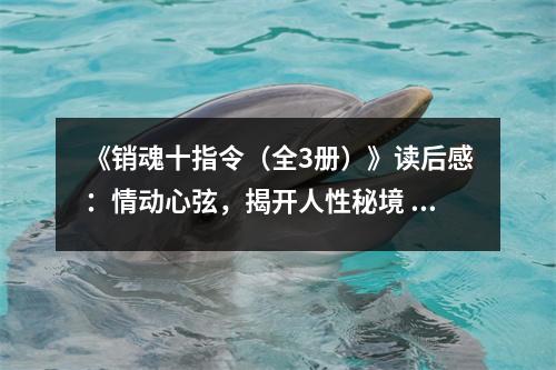 《銷魂十指令（全3冊）》讀后感：情動(dòng)心弦，揭開人性秘境 (850字)