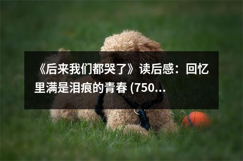 《后來我們都哭了》讀后感：回憶里滿是淚痕的青春 (750字)