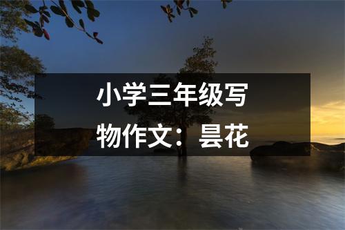 小學(xué)三年級寫物作文：曇花