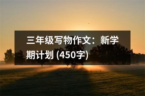 三年級(jí)寫物作文：新學(xué)期計(jì)劃 (450字)