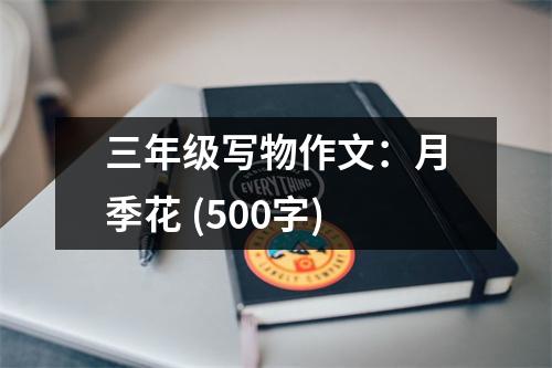 三年級(jí)寫物作文：月季花 (500字)