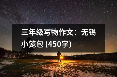 三年級(jí)寫物作文：無(wú)錫小籠包 (450字)